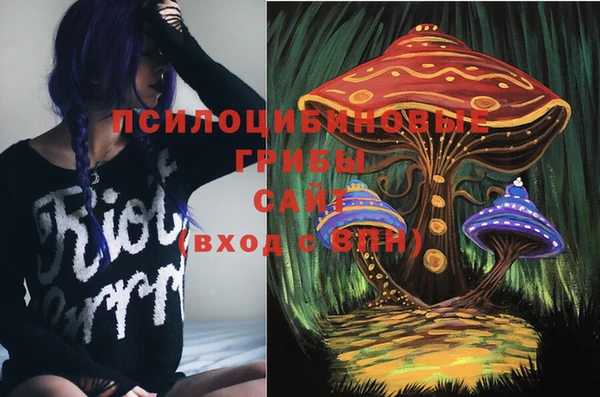 МДПВ Алексеевка