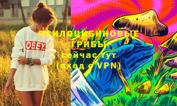 круглые Алексин