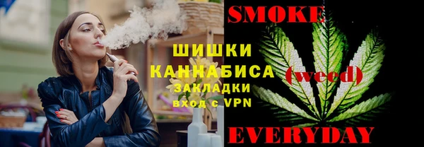 прущий лед Алзамай