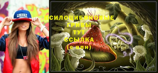 прущий лед Алзамай