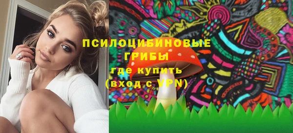 МДПВ Алексеевка