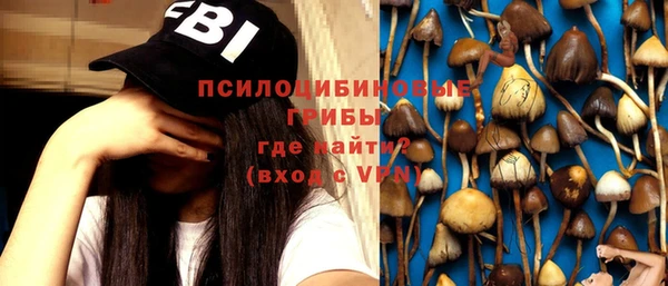 МДПВ Алексеевка