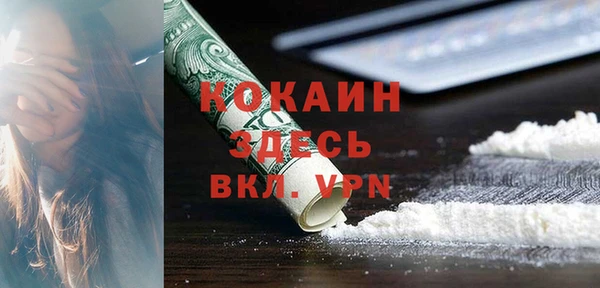 прущий лед Алзамай