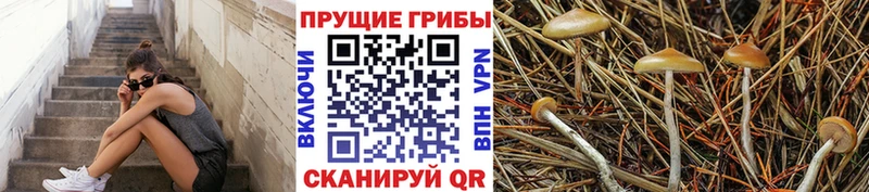 Псилоцибиновые грибы Magic Shrooms  Похвистнево 